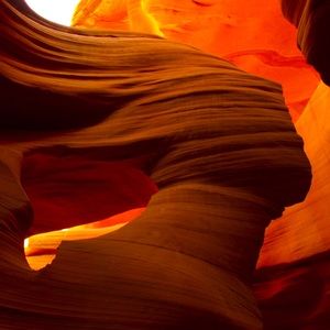 Meet your Posher, Max